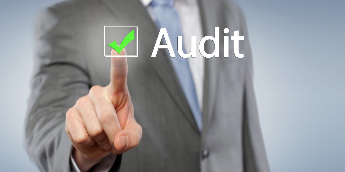 AUDIT INTERNE MULTIREFERENTIELS q.h.s.e.