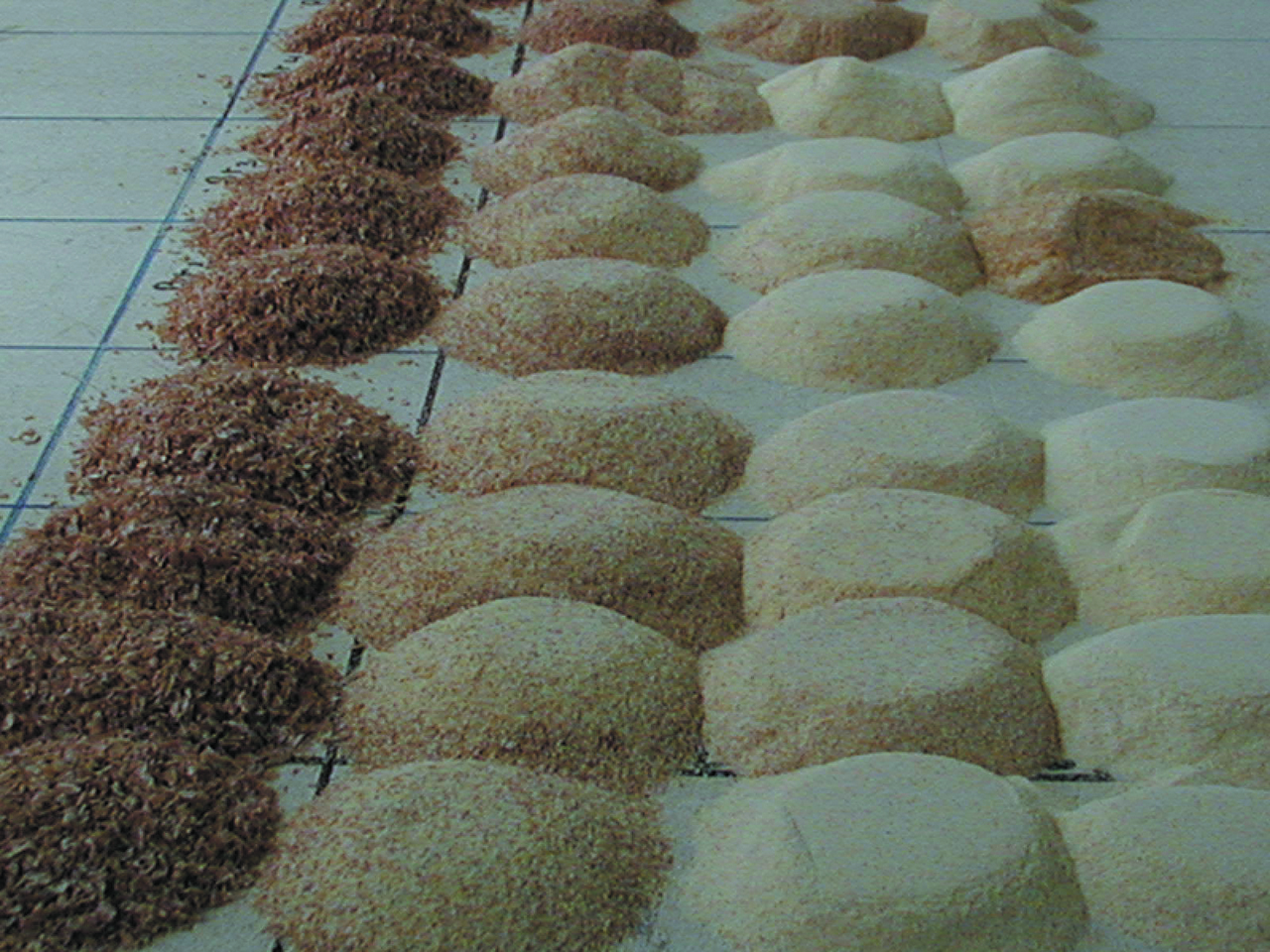 MEUNERIE ET CONDUITE DE MOULIN - NIVEAU 1 & 2